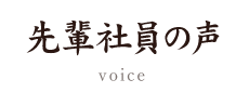 先輩社員の声